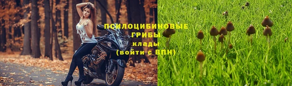 экстази Алзамай