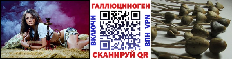 Псилоцибиновые грибы GOLDEN TEACHER  даркнет как зайти  Канаш 