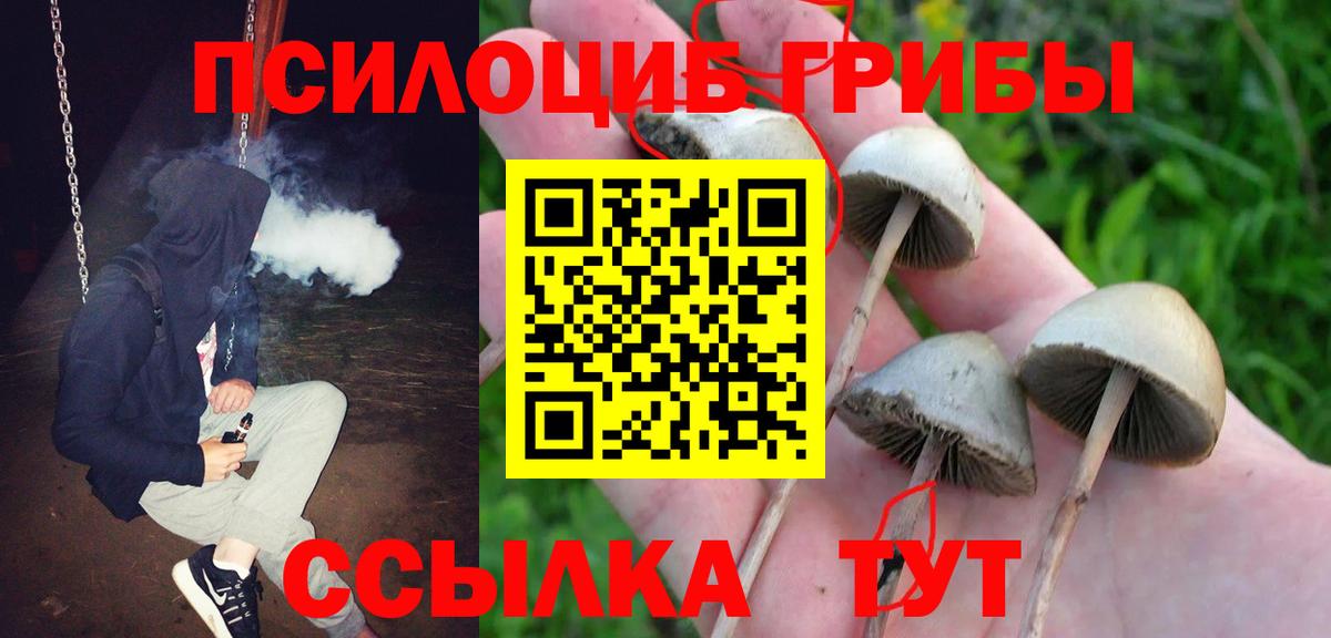 Канаш  купить  цена  Вход с VPN  Псилоцибиновые грибы мухоморы 